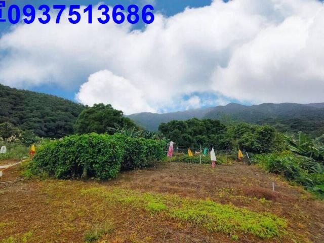 宜蘭頭城農地-6