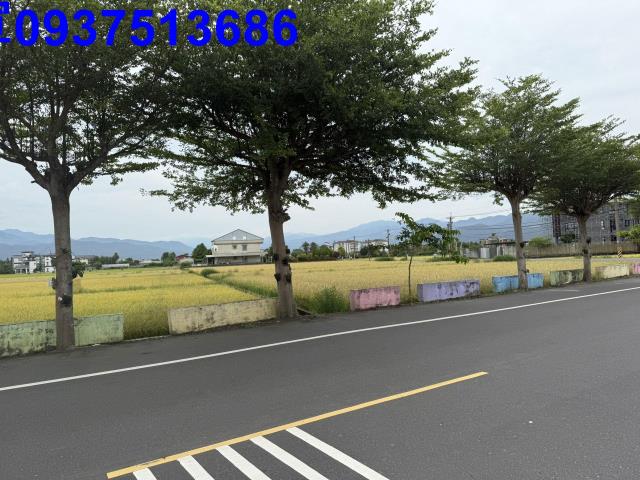 宜蘭員山農地-8