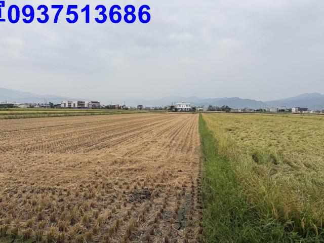 宜蘭壯圍農地-11