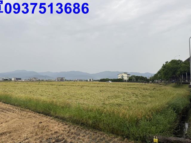 宜蘭壯圍農地-5