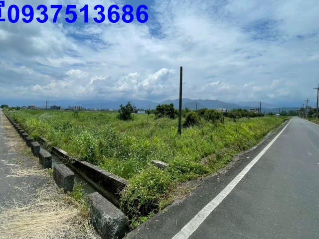 宜蘭宜蘭市公園用地-0