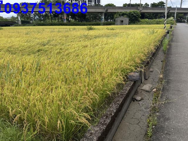 宜蘭宜蘭市農地-9