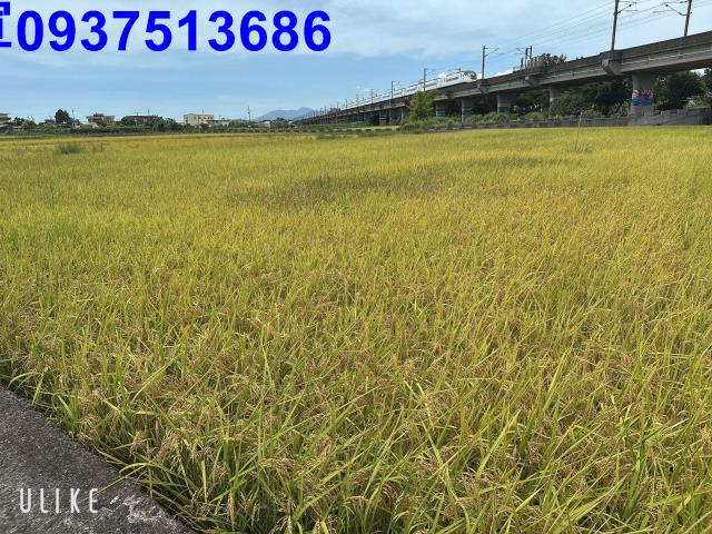 宜蘭宜蘭市農地-4