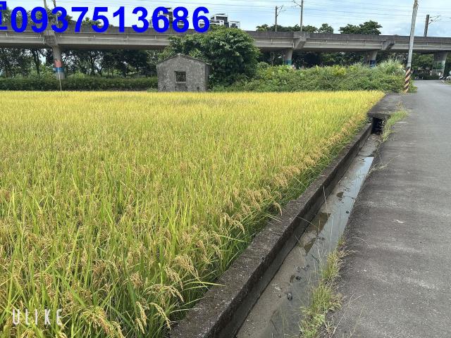 宜蘭宜蘭市農地-0