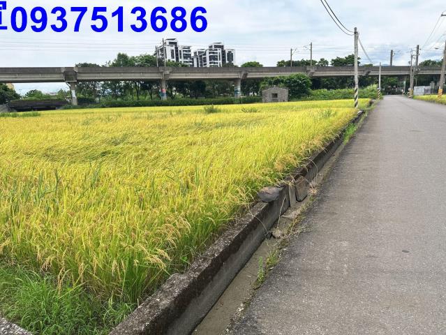 宜蘭宜蘭市農地-6