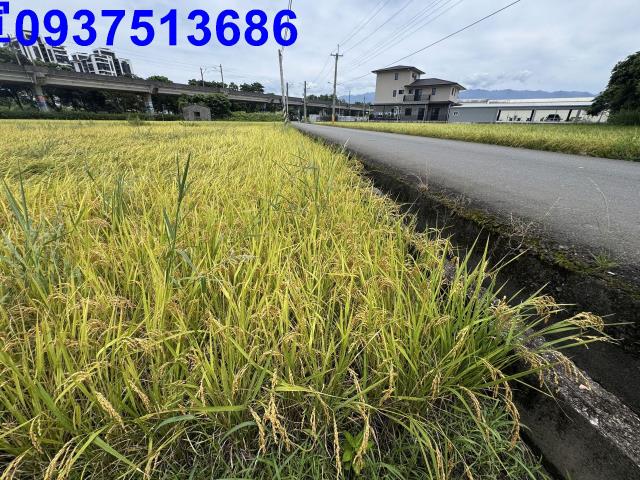 宜蘭宜蘭市農地-8