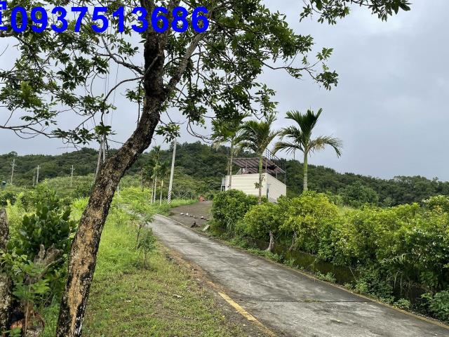 宜蘭員山農地-2