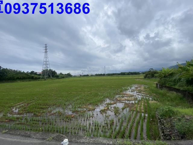 宜蘭頭城農地-2