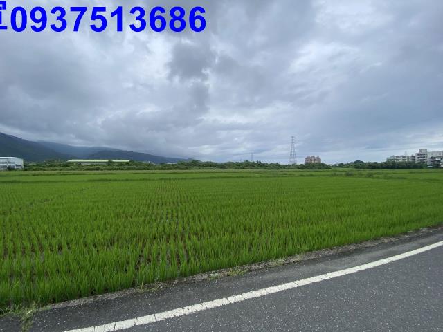 宜蘭頭城農地-5