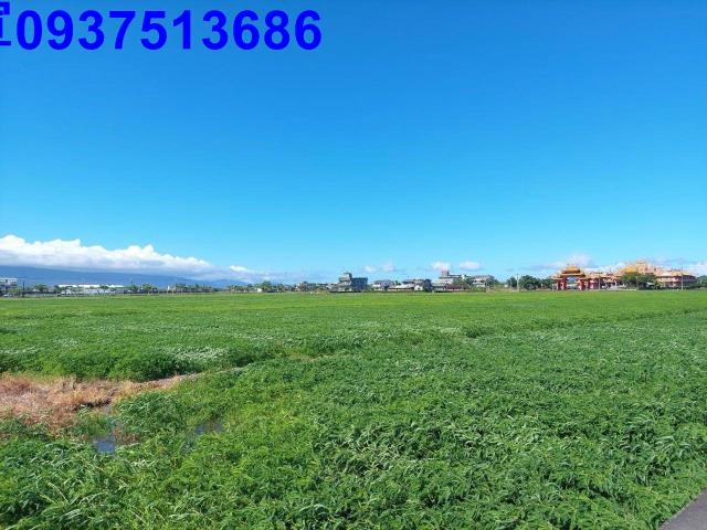 宜蘭壯圍農地-5