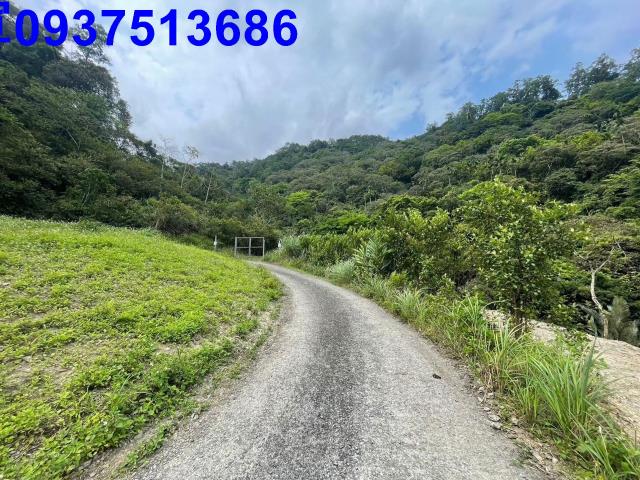 礁溪山坡地-13
