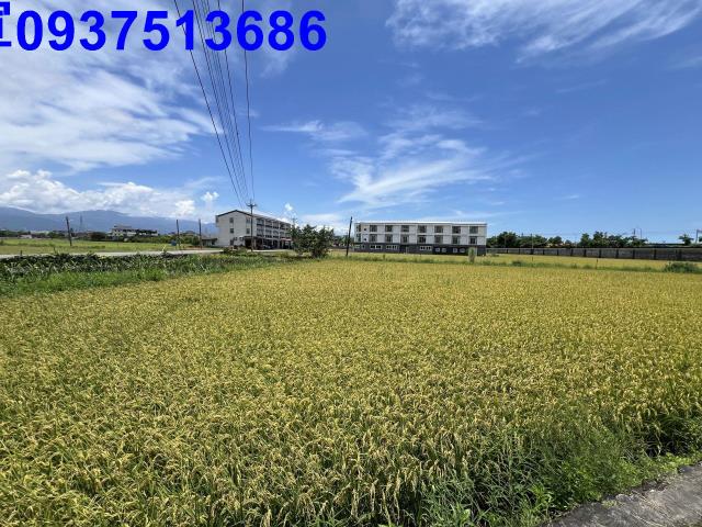 宜蘭市農地-6