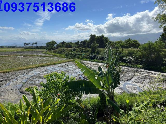 礁溪農地-3