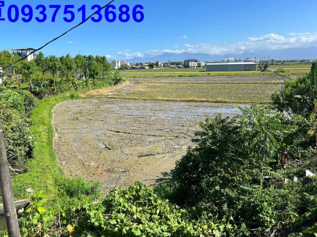 礁溪農地-4