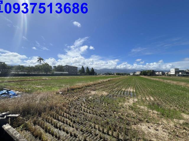 宜蘭市農地-4