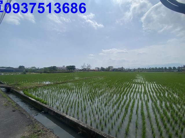 員山農地-11