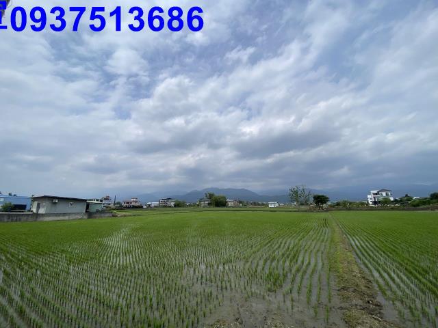 員山農地-12