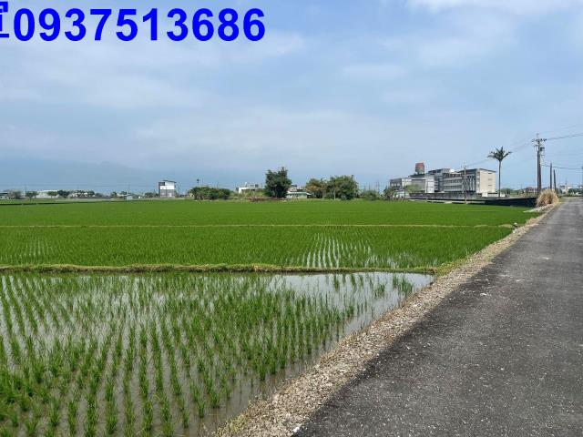 宜蘭農地-5
