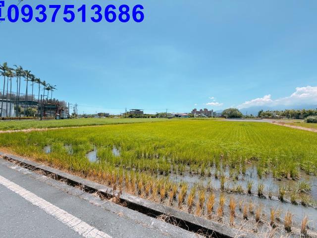 宜蘭農地-14