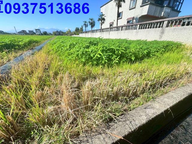 宜蘭農地-6