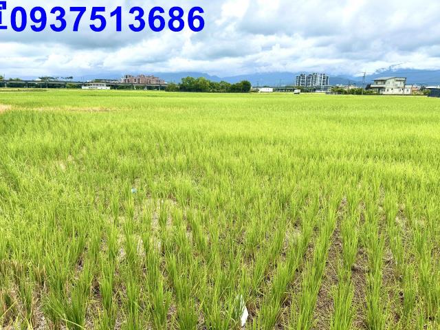 宜蘭市農地-3