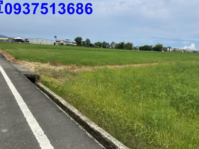 礁溪農地-9