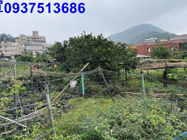 蘇澳農地-1