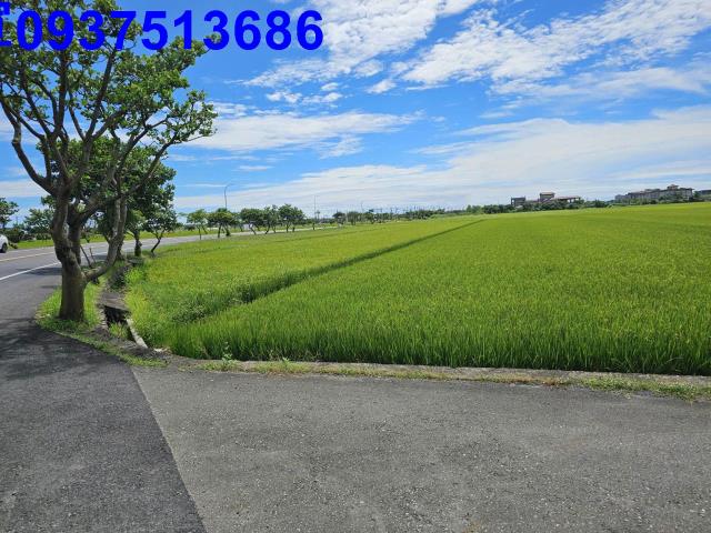 壯圍農地-9
