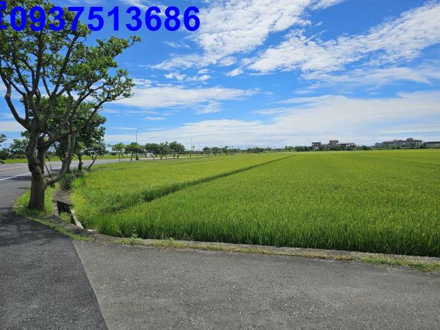 壯圍農地-12
