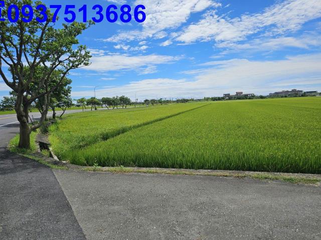 壯圍農地-13