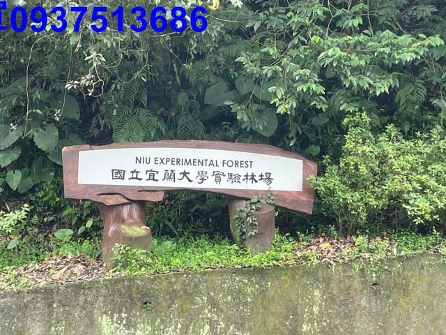 宜蘭礁溪山坡地-10