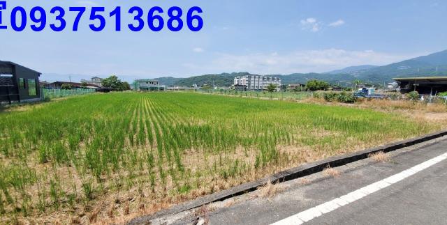 宜蘭礁溪農地-5