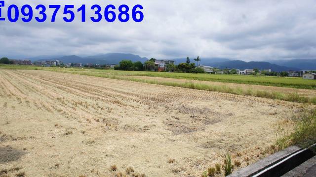 宜蘭宜蘭市農地-0