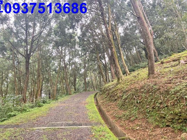 宜蘭礁溪農地-14