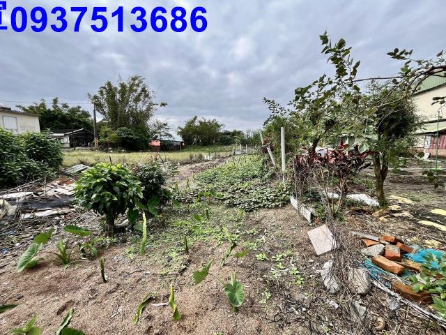 宜蘭壯圍農地-11