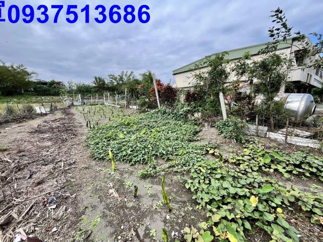 宜蘭壯圍農地-0