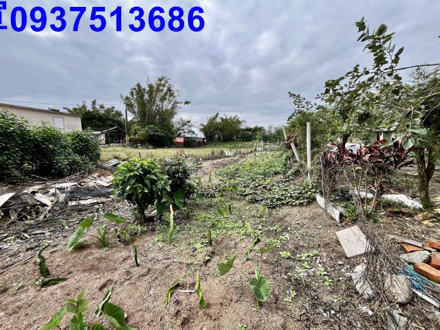 宜蘭壯圍農地-3