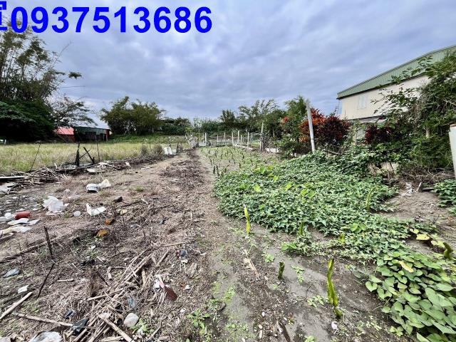 宜蘭壯圍農地-4