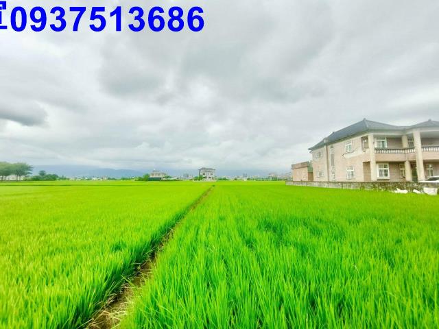 宜蘭宜蘭市農地-4