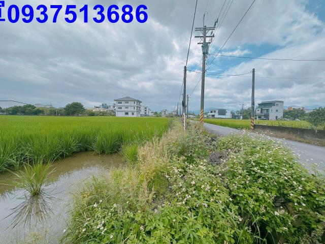 宜蘭宜蘭市農地-0