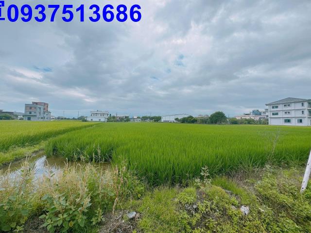 宜蘭宜蘭市農地-1