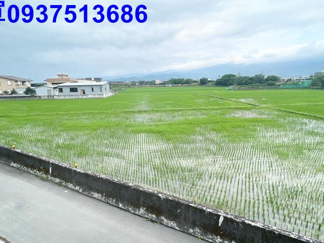 宜蘭礁溪農地-5