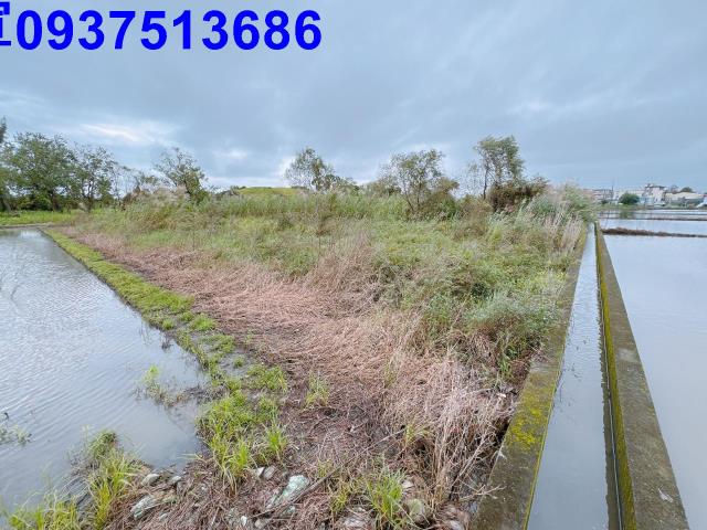 宜蘭宜蘭市農地-0