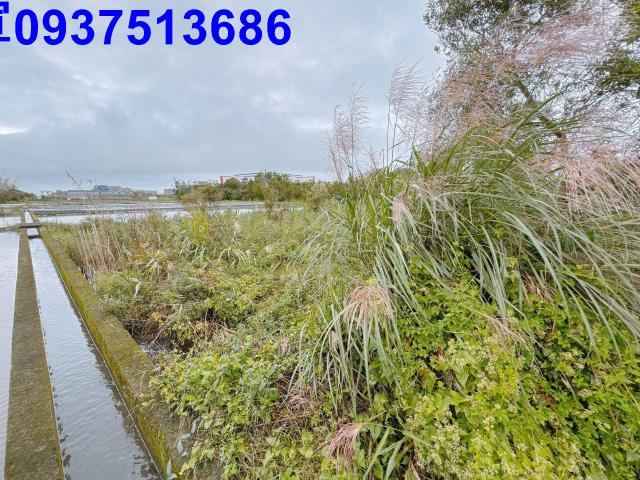 宜蘭宜蘭市農地-2