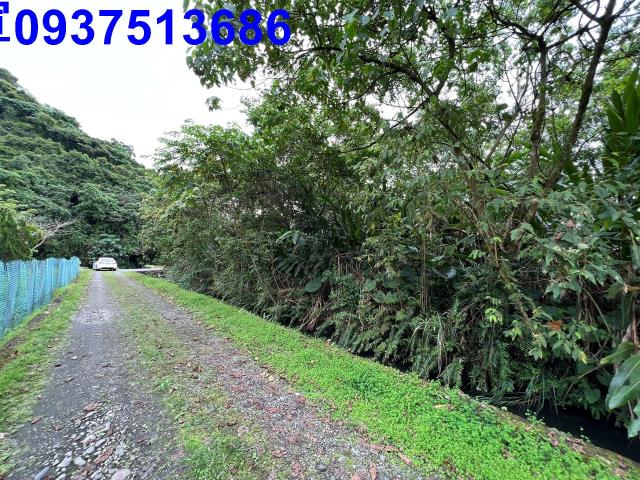 宜蘭員山農地-10