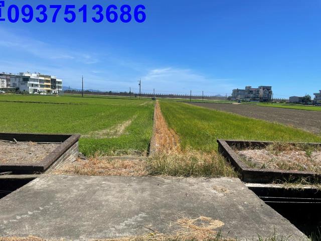 宜蘭壯圍農地-0