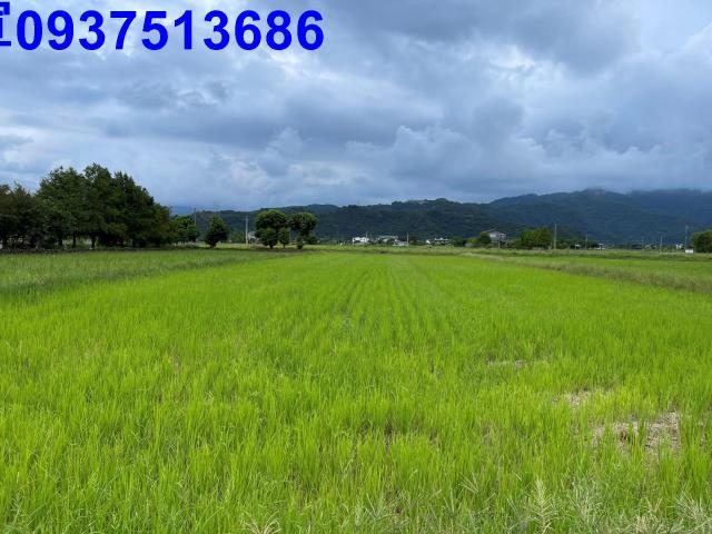 宜蘭三星農地-2