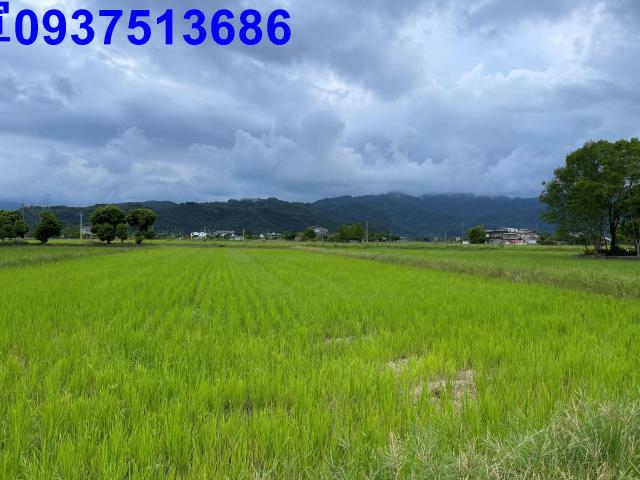 宜蘭三星農地-5