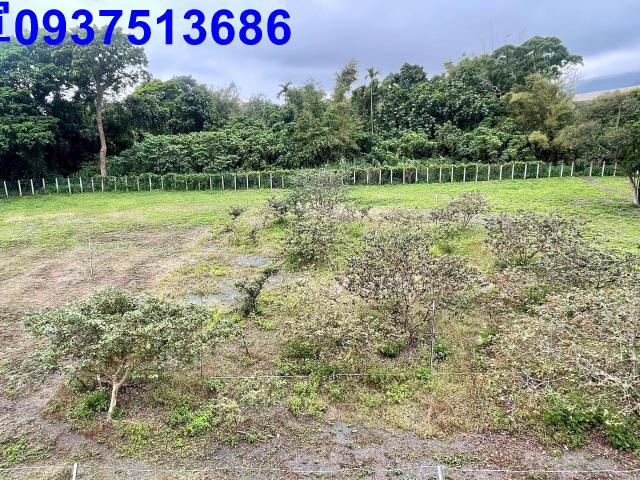 宜蘭頭城工業地-0