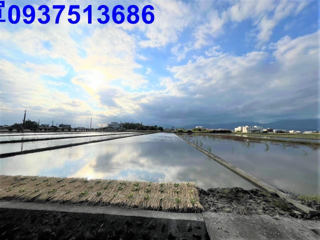 宜蘭壯圍農地-0